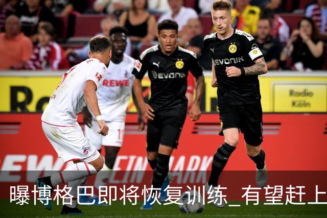 曝博格巴即将恢复训练 有望赶上卡塔尔世界杯